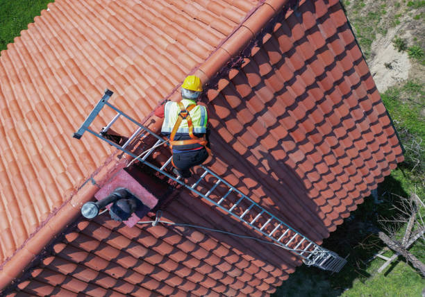 Best Roof Moss and Algae Removal  in Oak Hills, OR